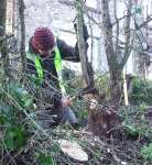 Pat hedge-laying 2014