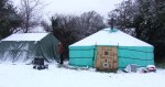 Mongolian yurt 2010